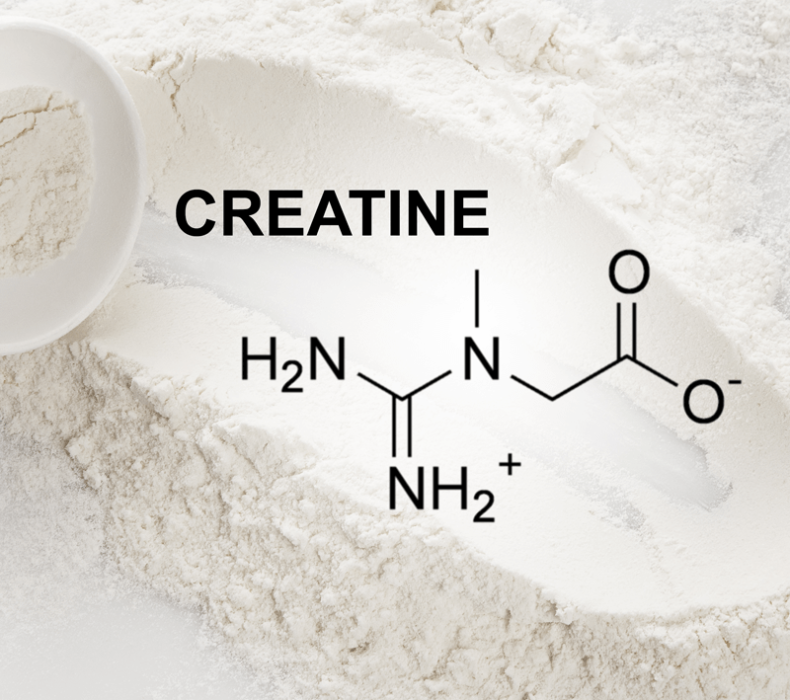 The Top 5 Creatine Powders for Building Muscle