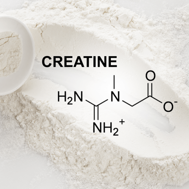 top 5 creatine powders for building muscle